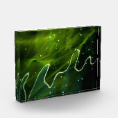 緑藻類と水草 フォトブロック (左)