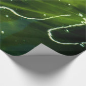 緑藻類と水質 ラッピングペーパー (角)