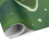 緑藻類と水質 ラッピングペーパー (ロールコーナー)