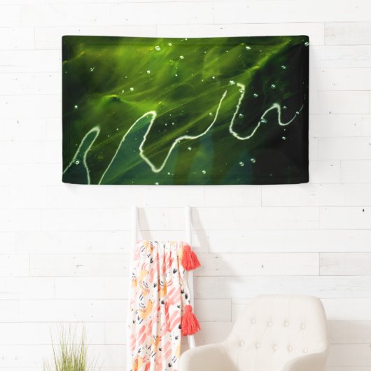 緑藻類と水質 横断幕 (インサイチュ)