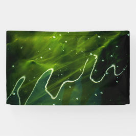 緑藻類と水質 横断幕