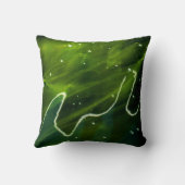 緑藻類と水tpcnm クッション (裏面)