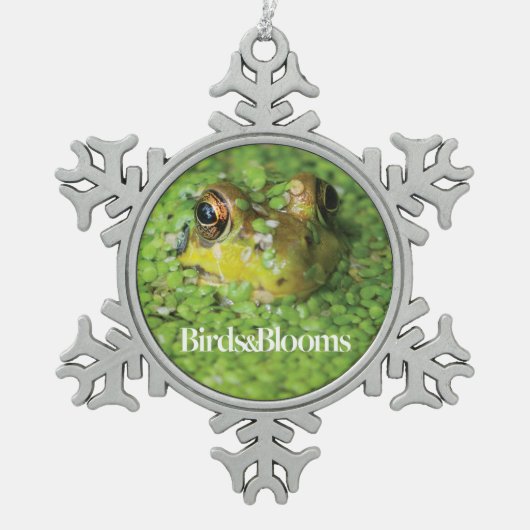 緑藻類のカエル スノーフレークピューターオーナメント (正面)