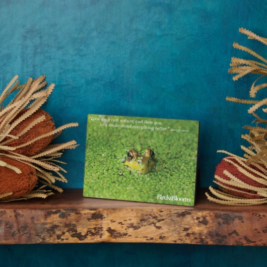 緑藻類のカエル フォトプラーク (側面)