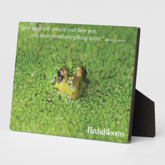 緑藻類のカエル フォトプラーク (側面)