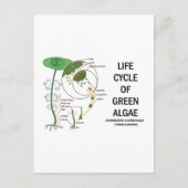 緑藻類のライフサイクル ポストカード (正面)