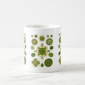 緑藻類 コーヒーマグカップ (中央)