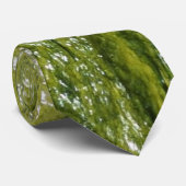 緑藻類 ネクタイ (ロール)