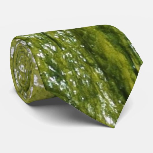 緑藻類 ネクタイ (ロール)