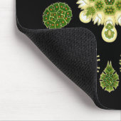 緑藻類 マウスパッド (コーナー)