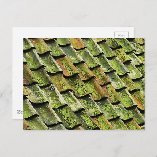 緑角 ポストカード (正面/裏面)