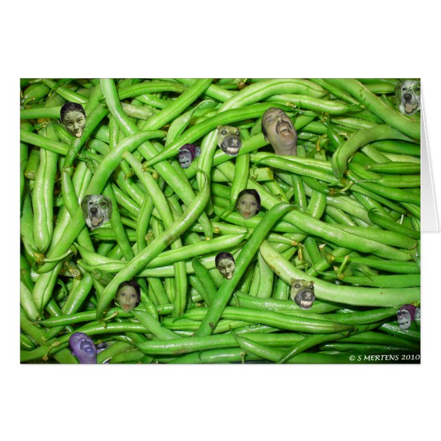 緑豆の頭！ (正面横)