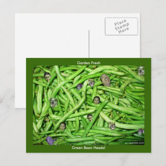 緑豆の頭！ ポストカード (正面/裏面)