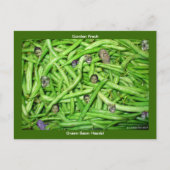 緑豆の頭！ ポストカード (正面)