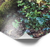 緑豊かなエバーグリーンフォレスト自然 フォトプリント            (角)