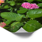 緑豊かなグリーンガーデン ポスター (角)