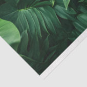 緑豊かなトロピカル離れ 薄葉紙 (詳細)