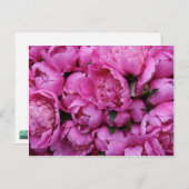 緑豊かなピンクの牡丹の花 ポストカード (正面/裏面)