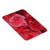 緑豊かなピンクベゴニア マグネット (右側)