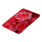 緑豊かなピンクベゴニア マグネット (左側)