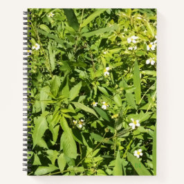 緑豊かなフローラスパイラルノートブック ノートブック