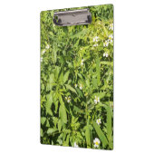 緑豊かなフローラ場 クリップボード (左)