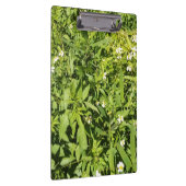 緑豊かなフローラ場 クリップボード (右)