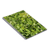 緑豊かなフローラ場 ノートブック (右側)