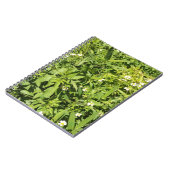 緑豊かなフローラ場 ノートブック (左側)