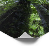 緑豊かな先住民 ポスター (角)