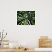 緑豊かな先住民 ポスター (キッチン)