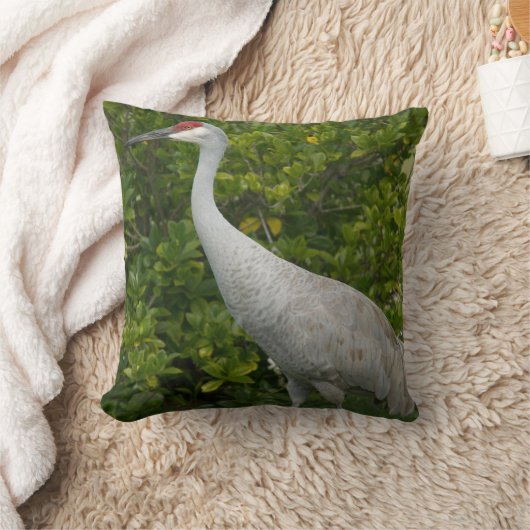 緑豊かな写真の前の砂丘クレーンの鳥 クッション (ブランケット)