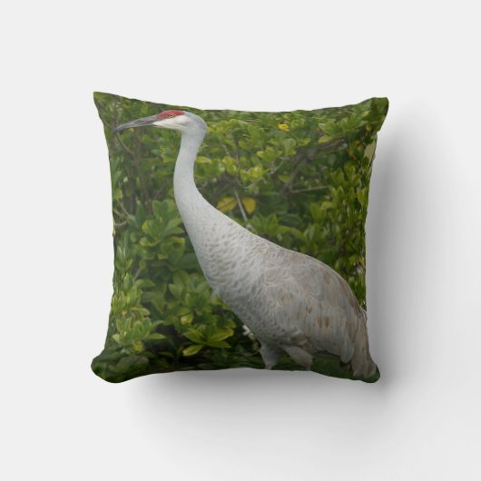 緑豊かな写真の前の砂丘クレーンの鳥 クッション (正面)