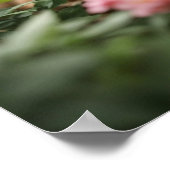 緑豊かな庭を探索する2匹のショウガの子猫 ポスター (角)