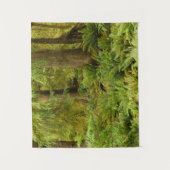 緑豊かな森とシダ |オレゴン州エコラ州パーク タペストリー (正面)