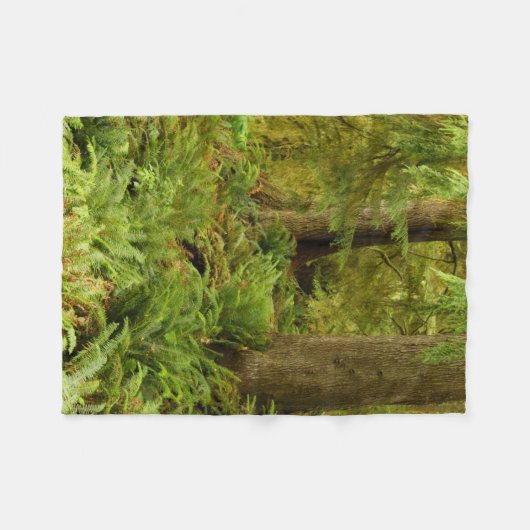 緑豊かな森とシダ |オレゴン州エコラ州パーク フリースブランケット (正面(横))