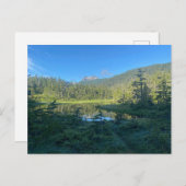 緑豊かな森のはがきを通る夏のハイキング ポストカード (正面/裏面)