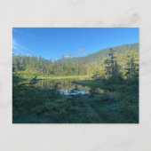 緑豊かな森のはがきを通る夏のハイキング ポストカード (正面)