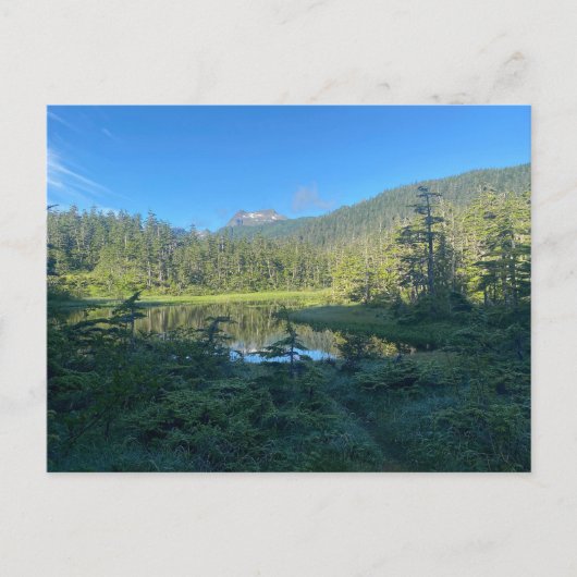 緑豊かな森のはがきを通る夏のハイキング ポストカード (正面)