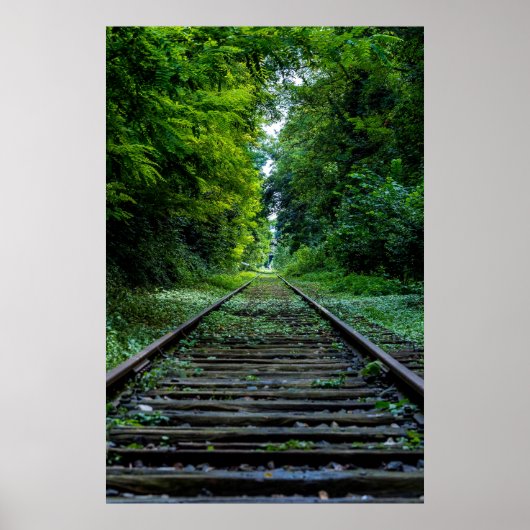 緑豊かな森の中の鉄道の線路 ポスター (正面)