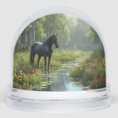 緑豊かな森の中の黒馬クリアリング (正面)