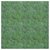 緑豊かな森の風景写真 ファブリック (見本)