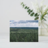 緑豊かな森林の風景 キャノピー写真 ポストカード (スタンド正面)