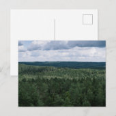 緑豊かな森林の風景 キャノピー写真 ポストカード (正面/裏面)