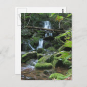緑豊かな森林景観の滝の滝の滝の自然 ポストカード (正面/裏面)