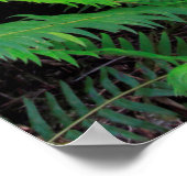 緑豊かな森林風光明媚 ポスター (角)