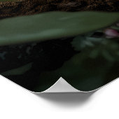 緑豊かな熱帯雨林のタランチュラ ポスター (角)