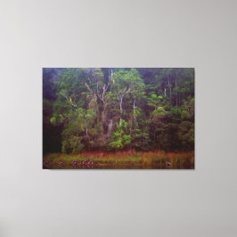 緑豊かな熱帯雨林32x48 キャンバスプリント