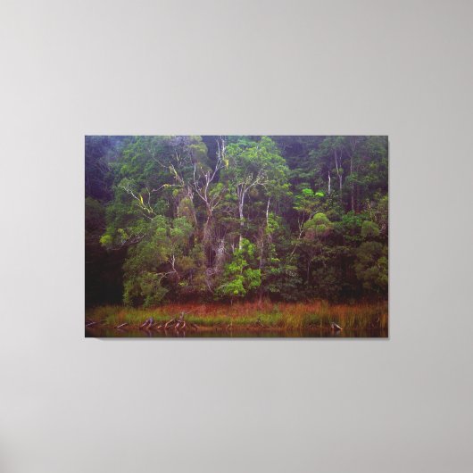 緑豊かな熱帯雨林32x48 キャンバスプリント (正面)