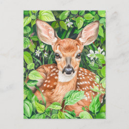 緑豊かな牧草地の小さな鹿 ポストカード